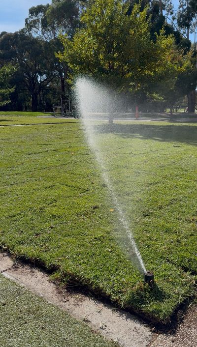 A sprinkler waters a green lawn in a sunny park.