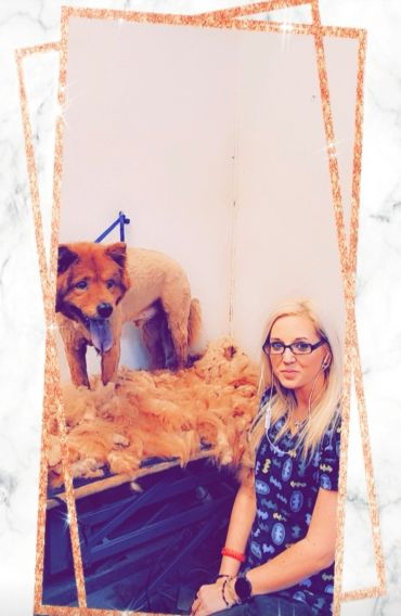 Dog being groomed with a woman beside it.