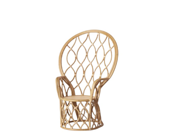 Modern wicker chair
Peacock wicker chair
Baby shower