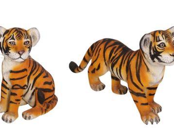 Tiger
Baby shower
Zoo
Stoneham zoo
Franklin park zoo
Party animals
Safari theme 
Boston