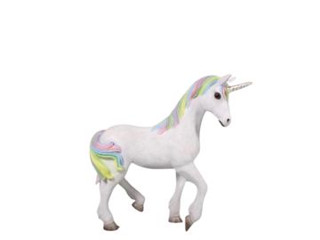 Unicorn party
Rainbow