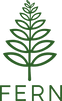 Fern