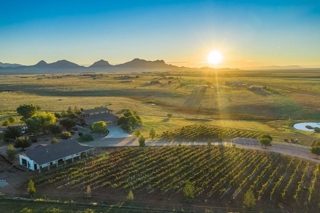 Wineries Near Elgin Az , The Ultimate Elgin and Sonoita Wine Tasting ...