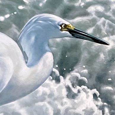 Close-up of a white bird near water.