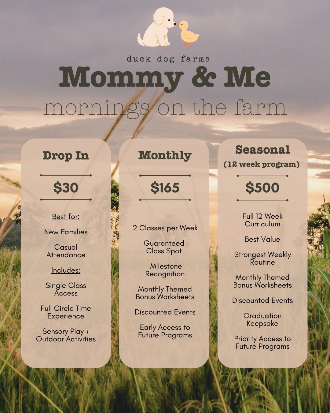 Pricing plans for Mommy &amp; Me mornings at Duck Dog Farms with drop-in, monthly, and seasonal options.