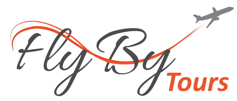 Flybytours's Logo