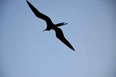 image4
