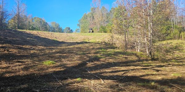 Skid steer land clearing.