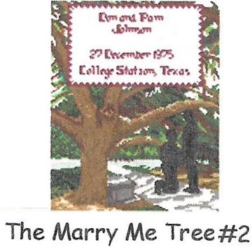 Century Tree, marry me