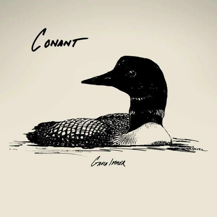 Album cover for "Gavia Immer" by CONANT