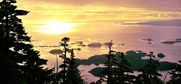 Sunset on ocean with islands and pines in the foreground