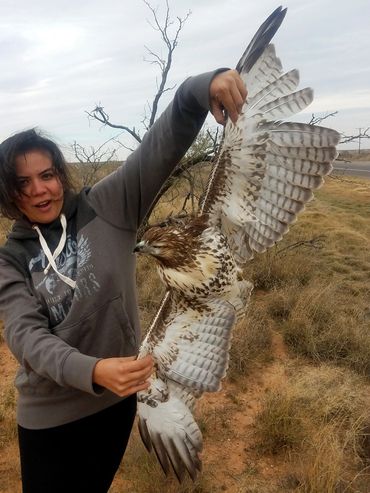 Young woman holding a large dead bird by its outstretched wings