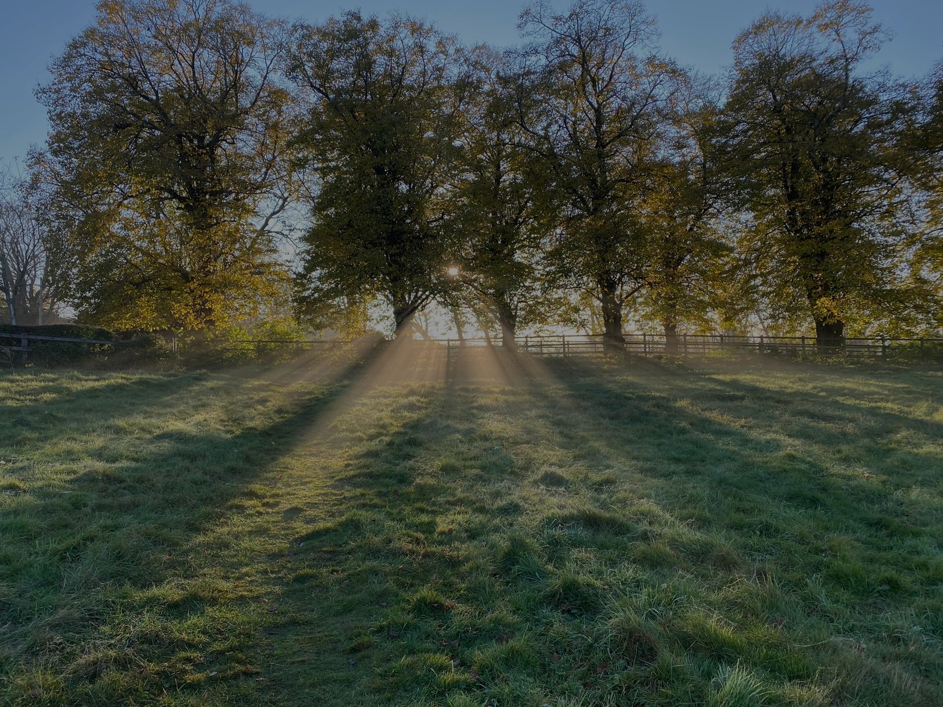 Farm Activities and Employment Brightview Farm