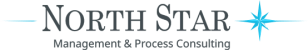 North Star Consulting