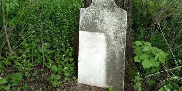 Sharon Springs Revolutionary War Veteran Headstone Spring 2018.