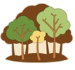 Wooden Trails