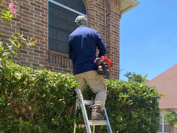 Landscaping Maintenace services