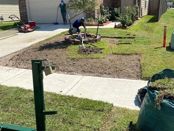sod installation free estimates 