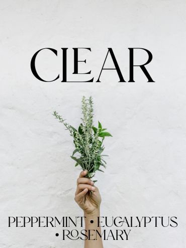 Hand holding a small bundle of herbs under the word CLEAR.