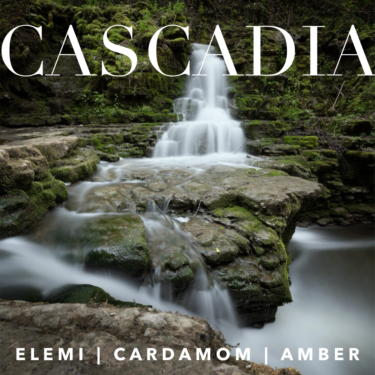 Cascadia