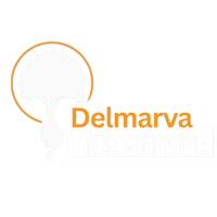 Delmarva Tree Service