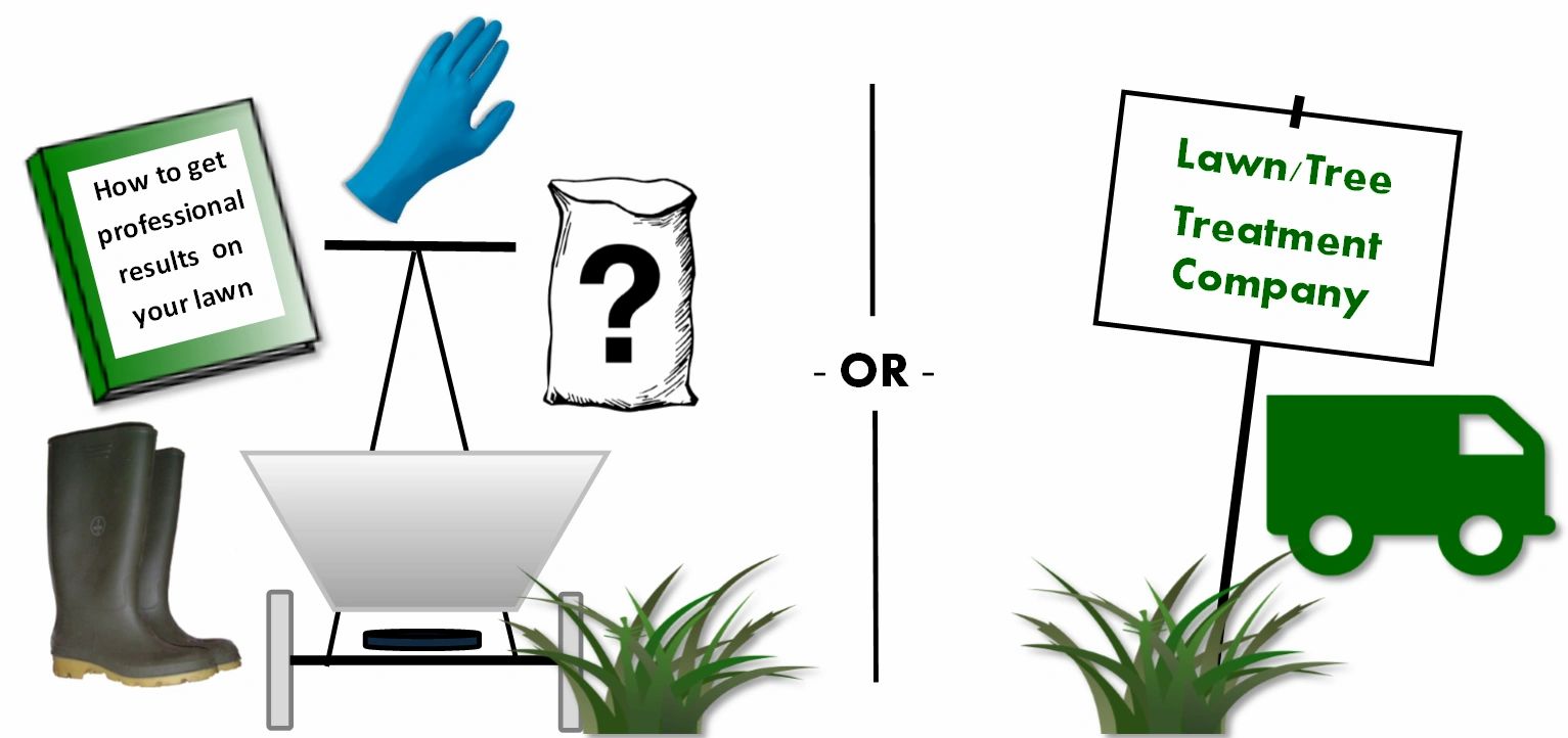 Should i do my own lawn care or use a lawn care service 