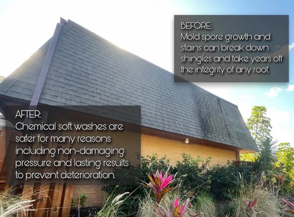  Roof soft washing in Palm Coast, safely removing black streaks and algae.
