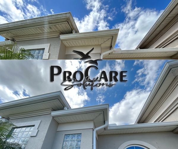 Soft washing in Palm Coast, removing black streaks, algae, and organic buildup from homes.