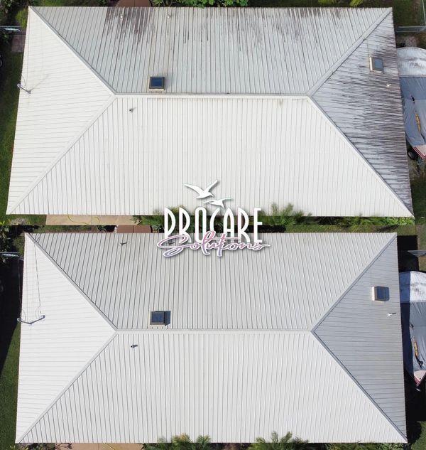 Professional roof cleaning in Ocean Hammock, removing mold and mildew.