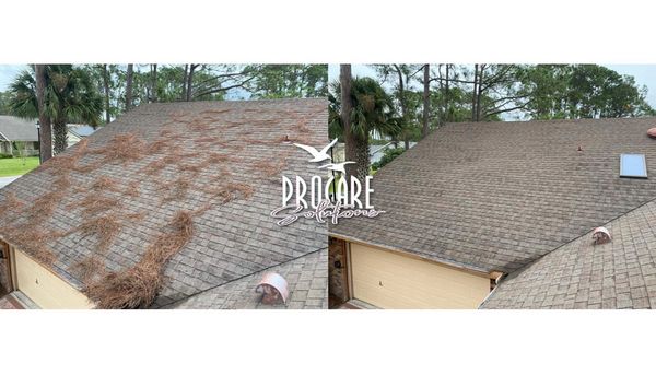 Premium roof soft washing in St. Augustine for beautiful, clean roofs.