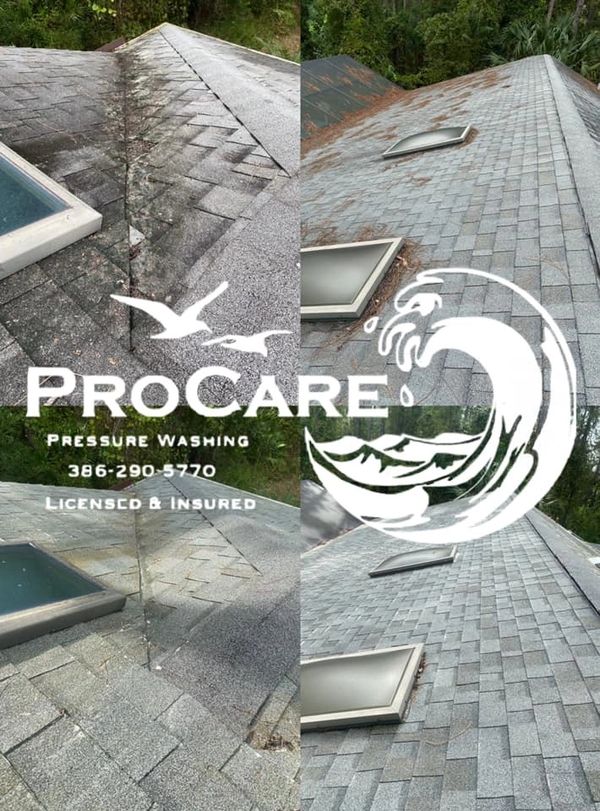 Roof cleaning in Grand Haven without high pressure damage.