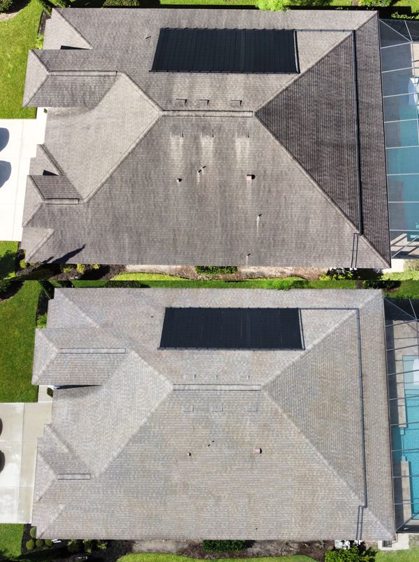 Roof soft washing in Palm Coast, safely removing black streaks and algae.