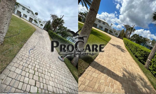 Professional paver cleaning and sealing.