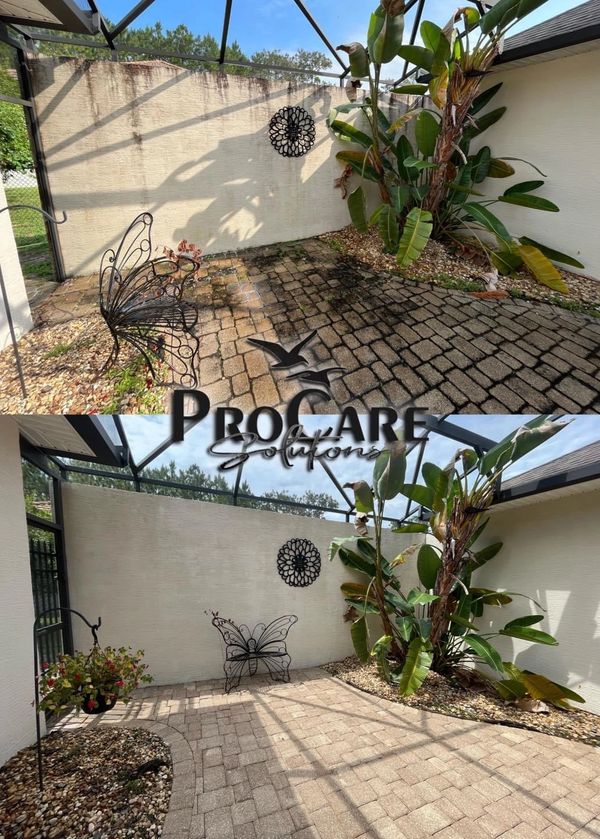 Professional house washing in Grand Haven with soft washing for a spotless, damage-free clean.