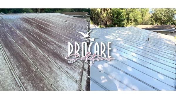 Roof algae removal in Palm Coast with professional soft washing