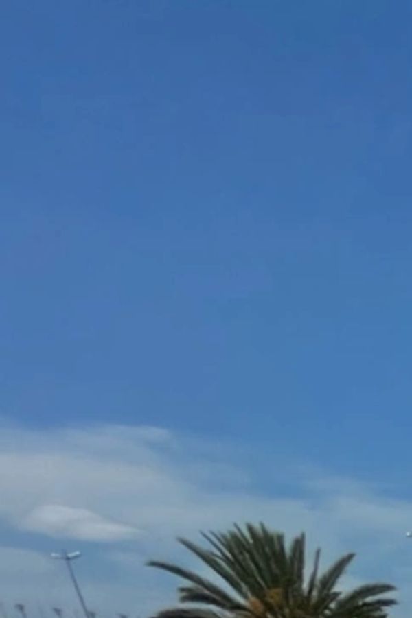 Professional roof cleaning in Ormond Beach with damage-free soft washing.