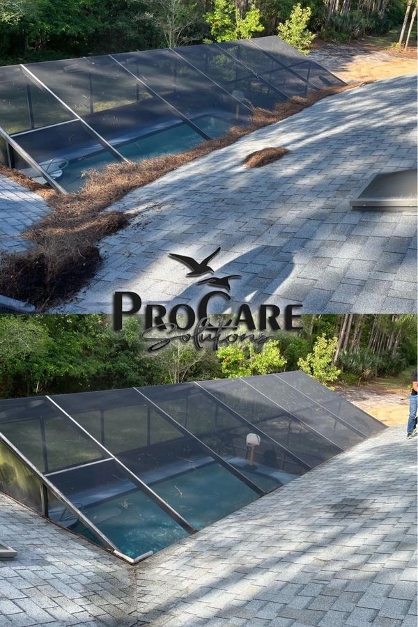 Black streak removal with expert roof soft washing in Ormond Beach.