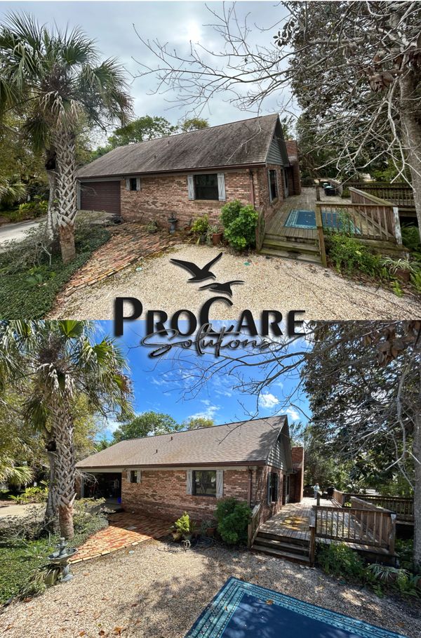 Roof algae removal in Palm Coast with professional soft washing.