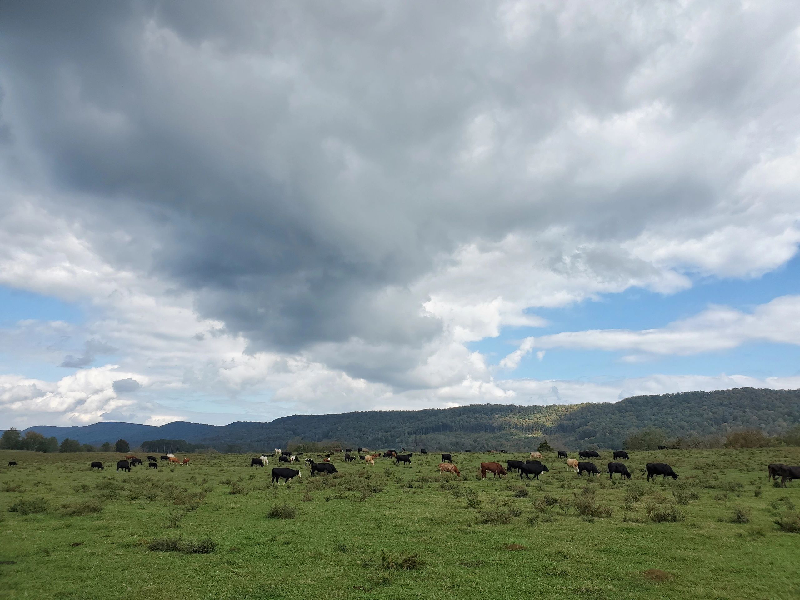 Catoosa County Conservation District