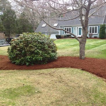Gracescapes Inc Gracescapes Landscaping