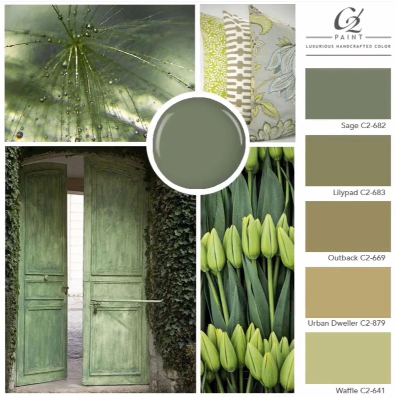 C2 Paint Green Paint Color Inspiration. C2 Paint Green Paint Color Inspiration.