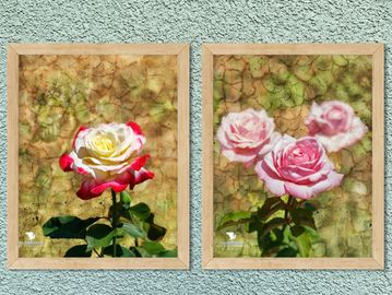 Red and pink roses with textured yellow background