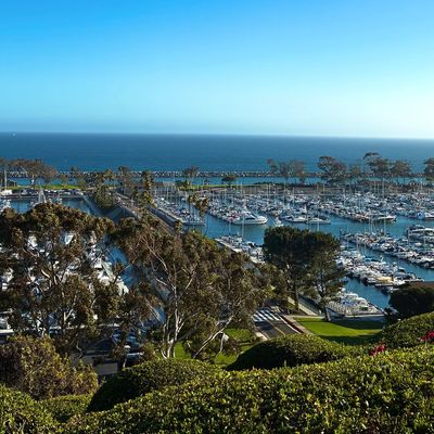 A marina filled with boats under a clear blue sky.