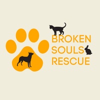 Broken Souls Rescue