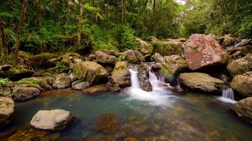 el yunque puerto rico beaches vacation rental airbnb private pool food drinks dance fun sun