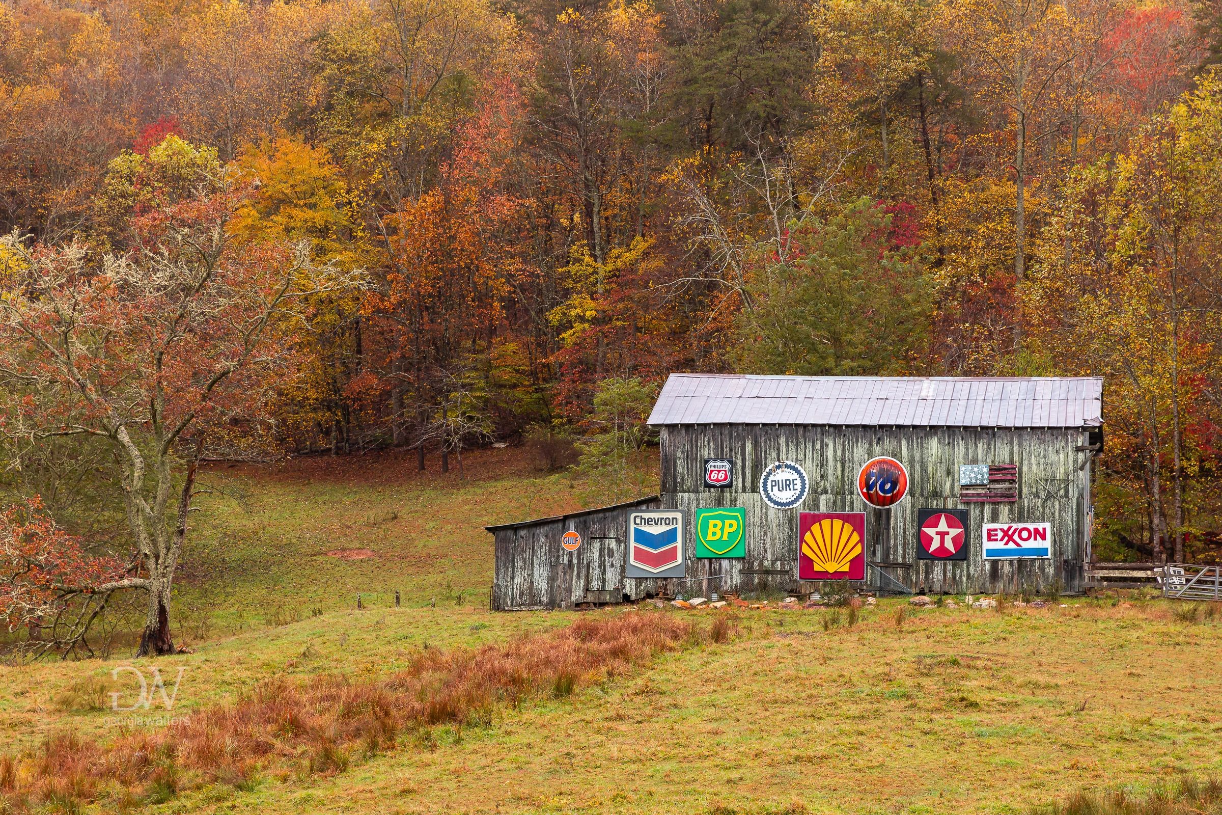 a barn sits in a field, surrounded by autumn colored leaves