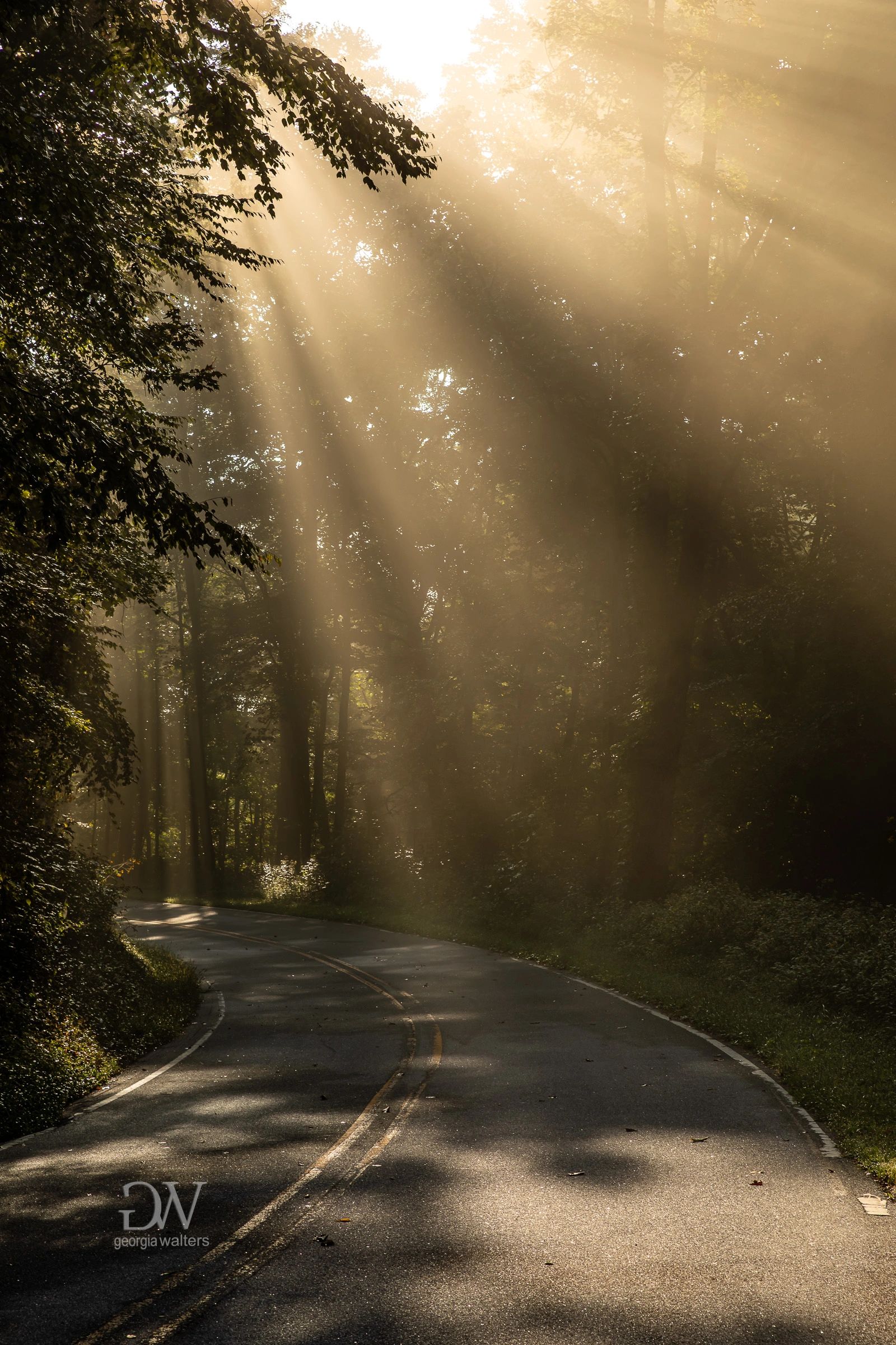 streaks of light fall on a mountain road