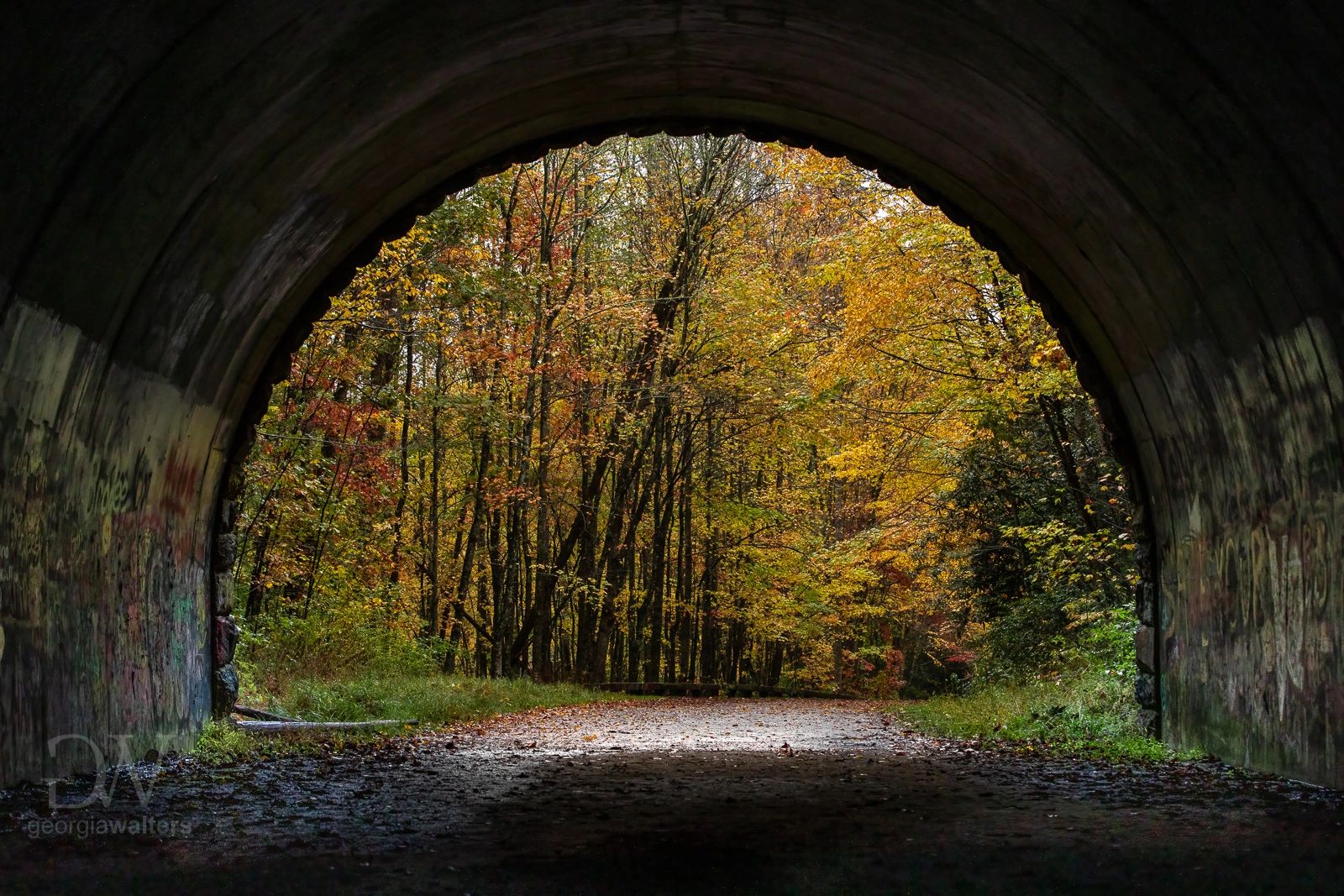 a tunnel in the road leads to an autumn forest