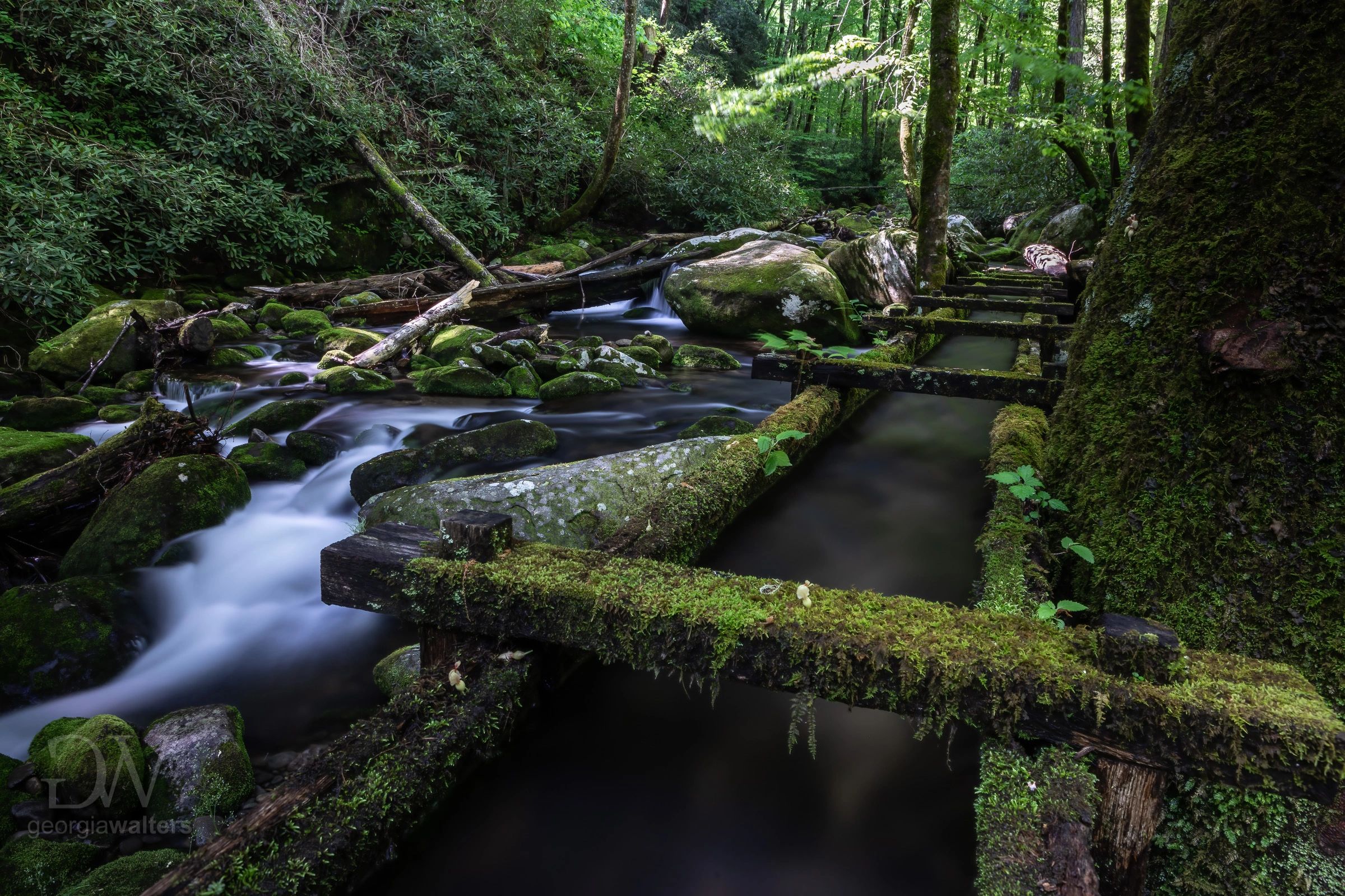 a moss covered grist mill water channel leads to a stream