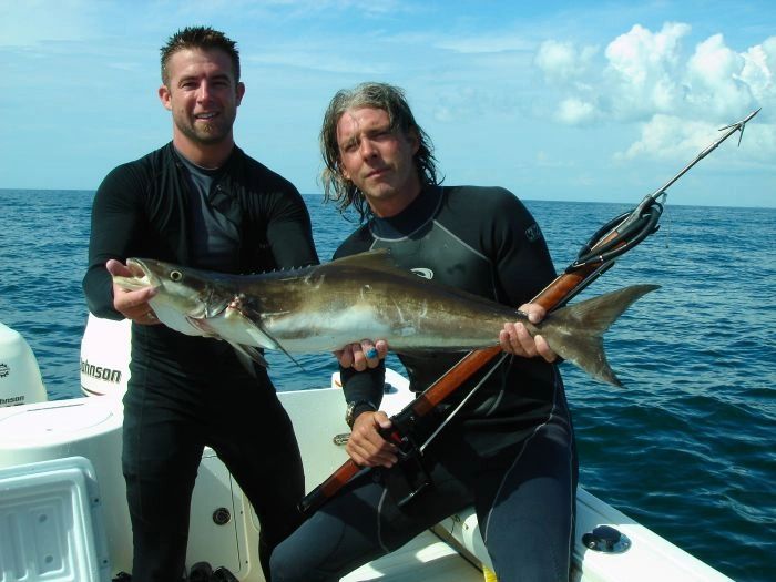 cobia.jpg